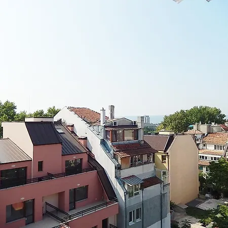City Studio וארנה